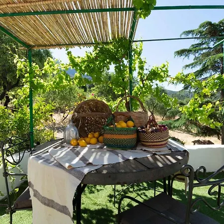 Holiday home Ferulas Oliena
