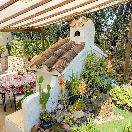 Ferulas * 오리에나