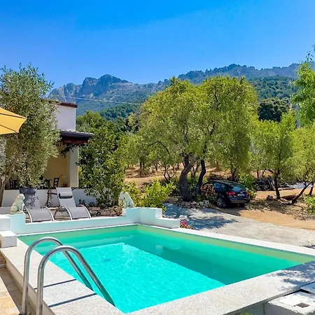 Ferulas * 오리에나