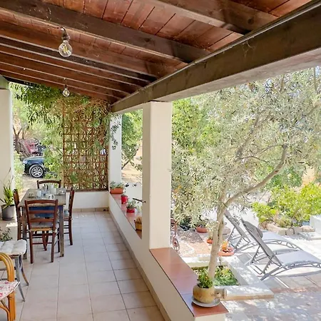 Ferulas 오리에나