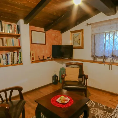 Ferulas * 오리에나