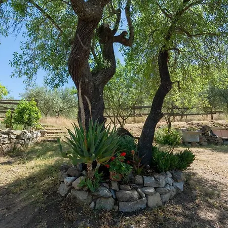 Casa vacanze Ferulas *
