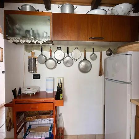 Ferulas אוליאנה